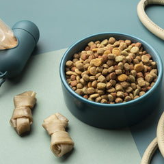 Chicken recipe Sensitive Stomach and Sensitive Skin Dry Dog Food