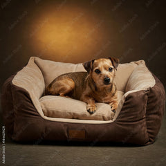 Quilted Orthopedic Sofa Bed with Removable Cover