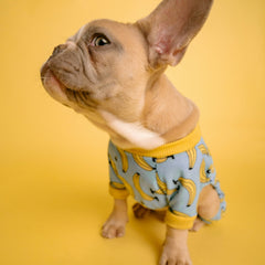 Banana print dog tee shirt