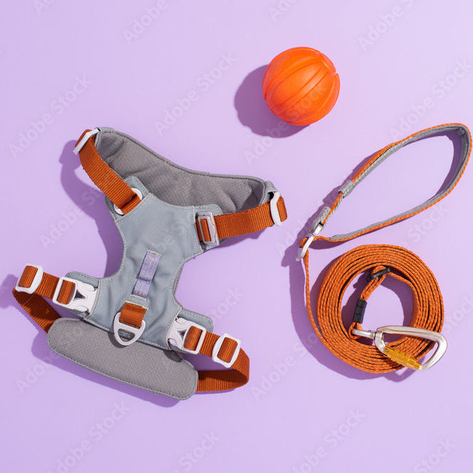 Orange Reflective Dog Harness and Leash set