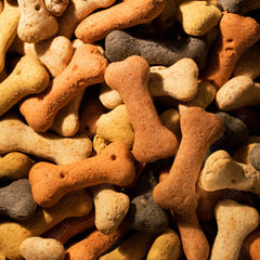 Bone Shaped Dog Biscuits with 5 Flavors