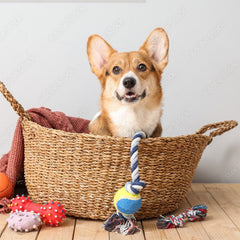 Plush and Rope Dog Toy Variety Pack of 5