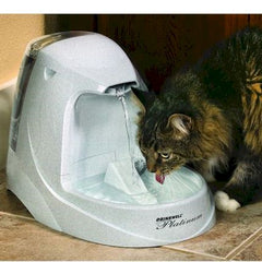 PetSafe Platinum Pet Fountain - PWW00-13703