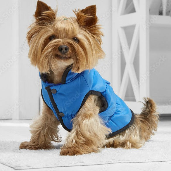 Dog Quilted Vest Blue